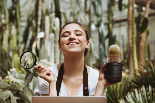 Global Vegan Beauty Sales Projected to Reach New Heights by Year-End