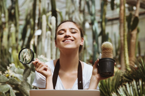 How Clean Beauty Brands Are Tackling Environmental Impact Concerns