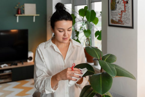Exploring the Growing Demand for Vegan and Cruelty-Free Beauty Products