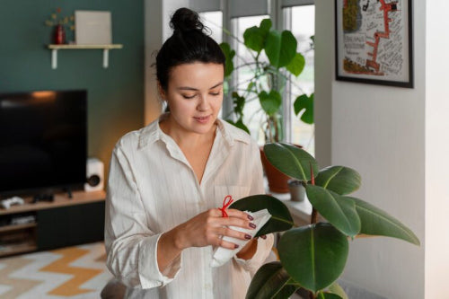How Vegan and Cruelty-Free Standards Are Changing the Beauty Industry